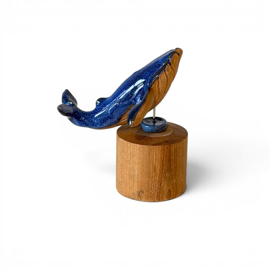 Baleine Bleue - St Laurent - Petite