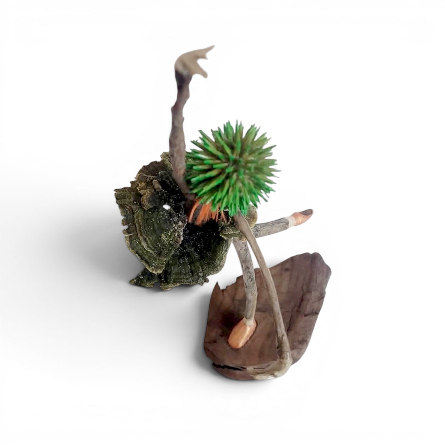 Virevolte par Sandra Veillette