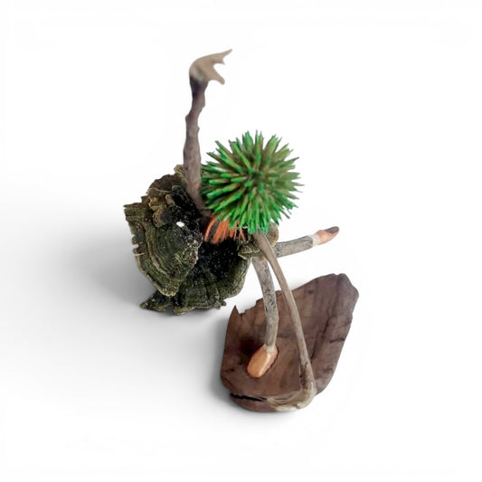 Virevolte par Sandra Veillette