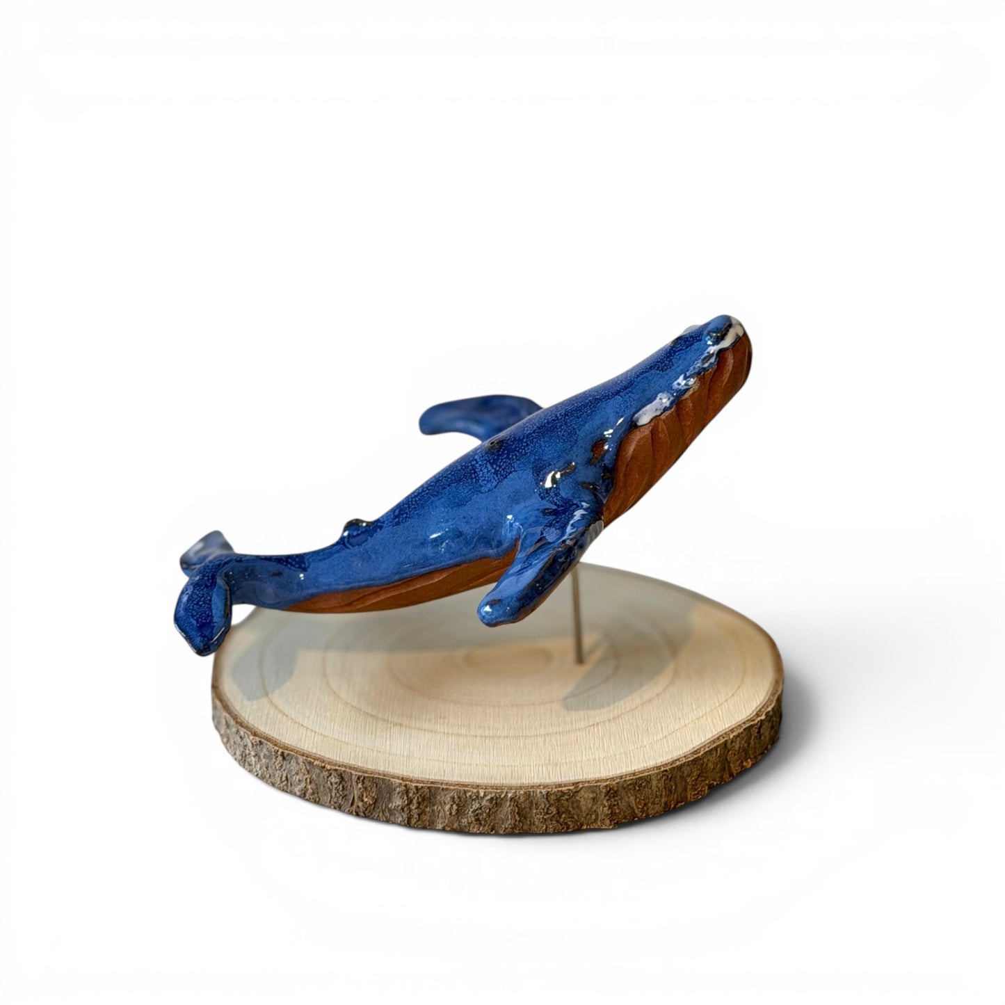 Baleine Bleue - St Laurent - Grande