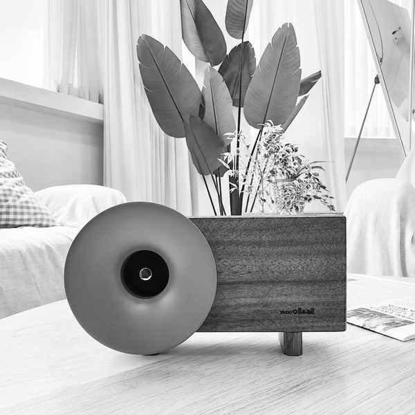 Ollim Speaker