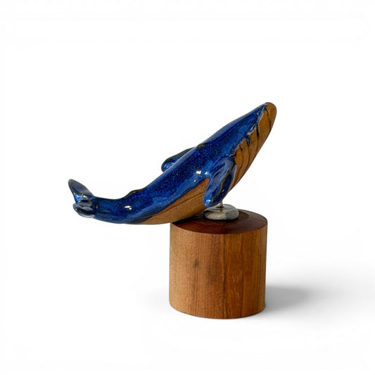 Baleine Bleue - St Laurent - Petite
