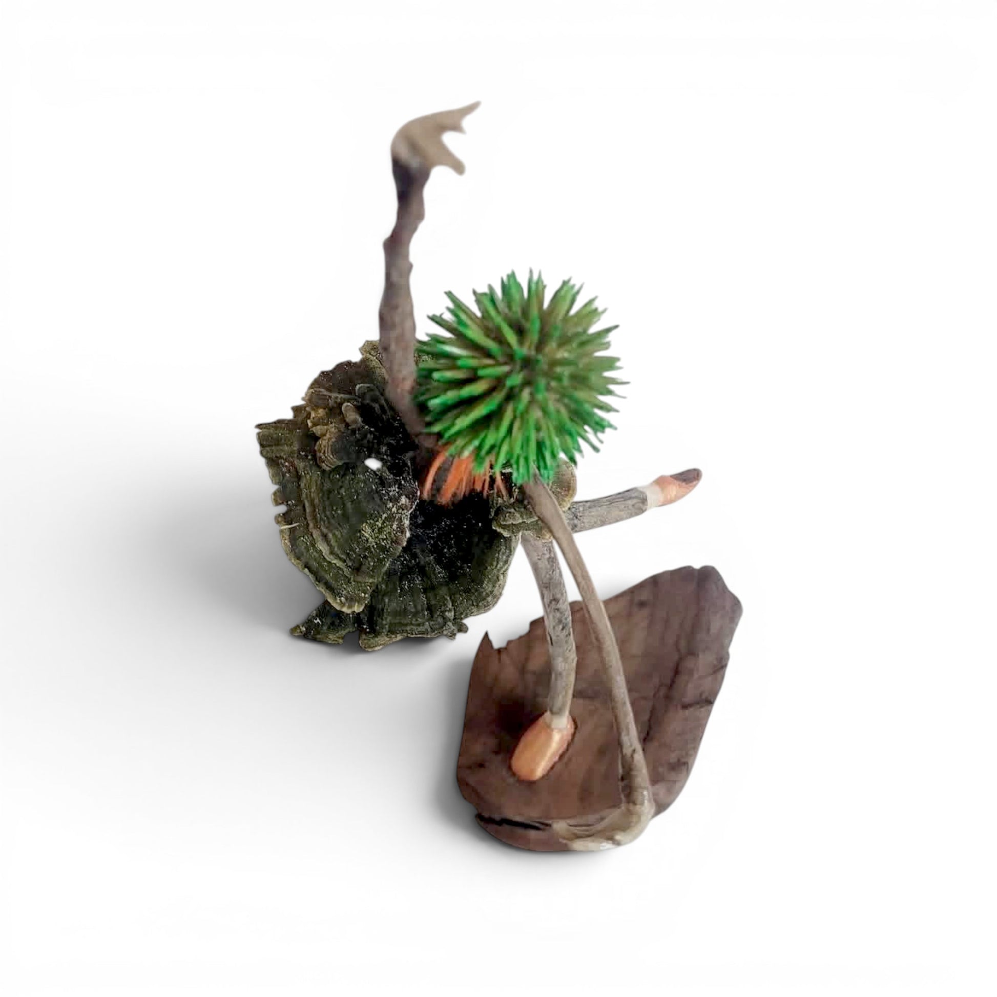 Virevolte par Sandra Veillette