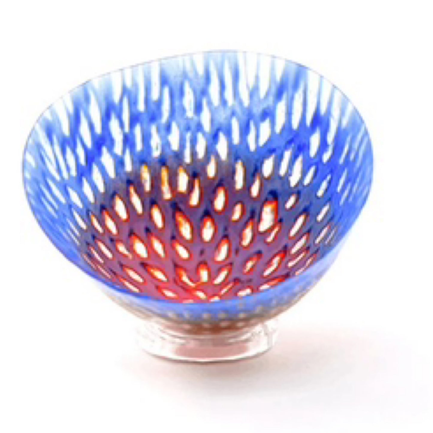 Apprivoiser une passion par Enora Glass Lucie Martineau