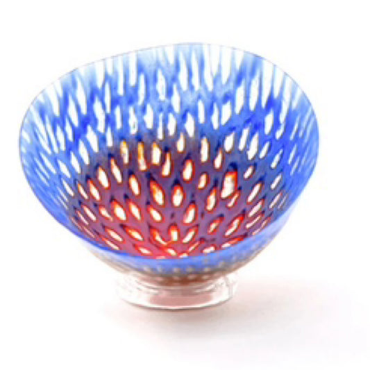 Apprivoiser une passion par Enora Glass Lucie Martineau