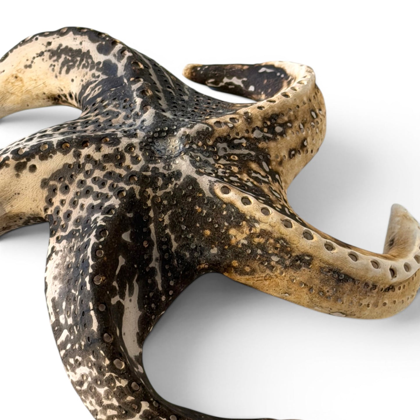 Étoile de mer