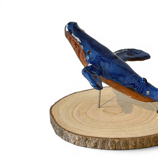 Baleine Bleue - St Laurent - Grande