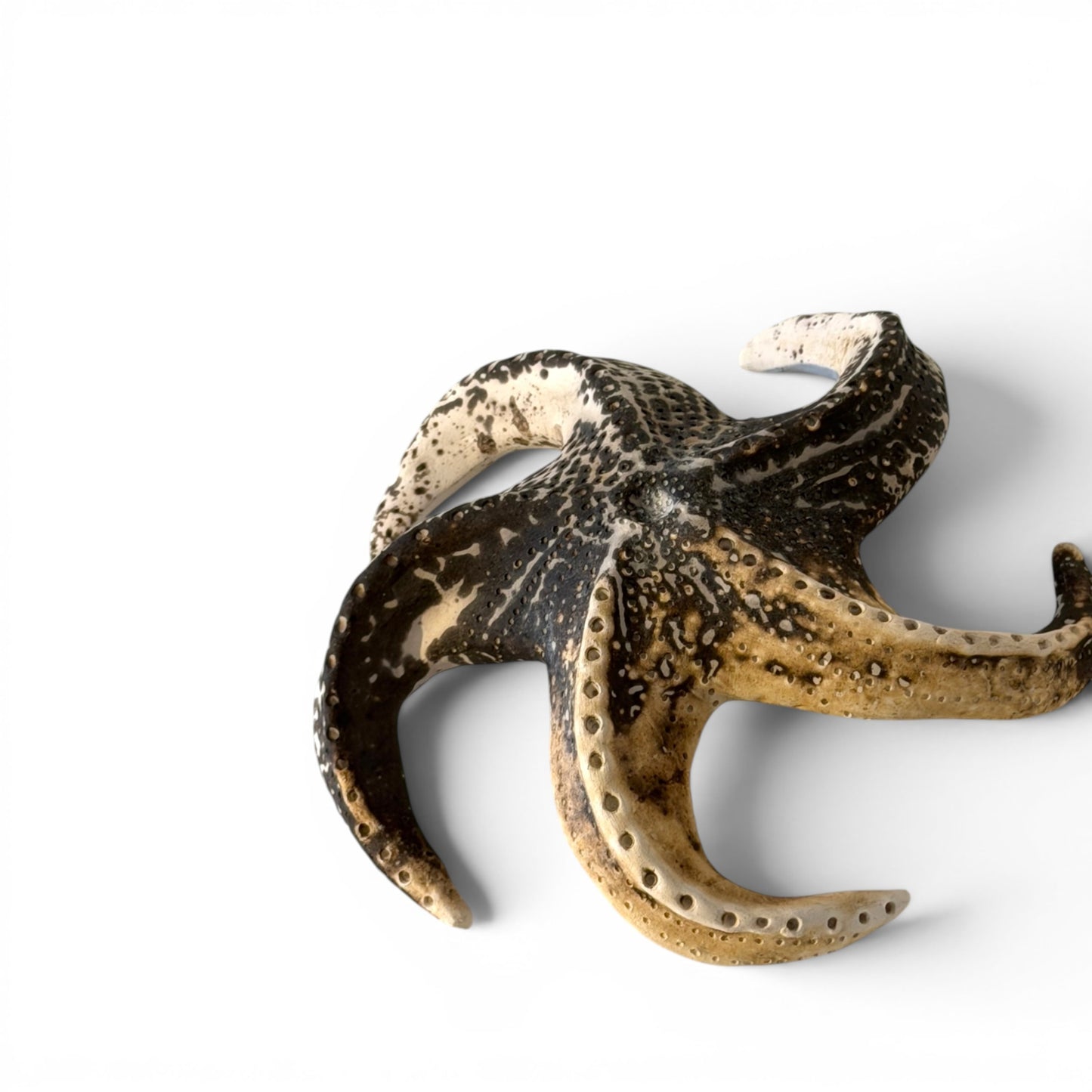 Étoile de mer