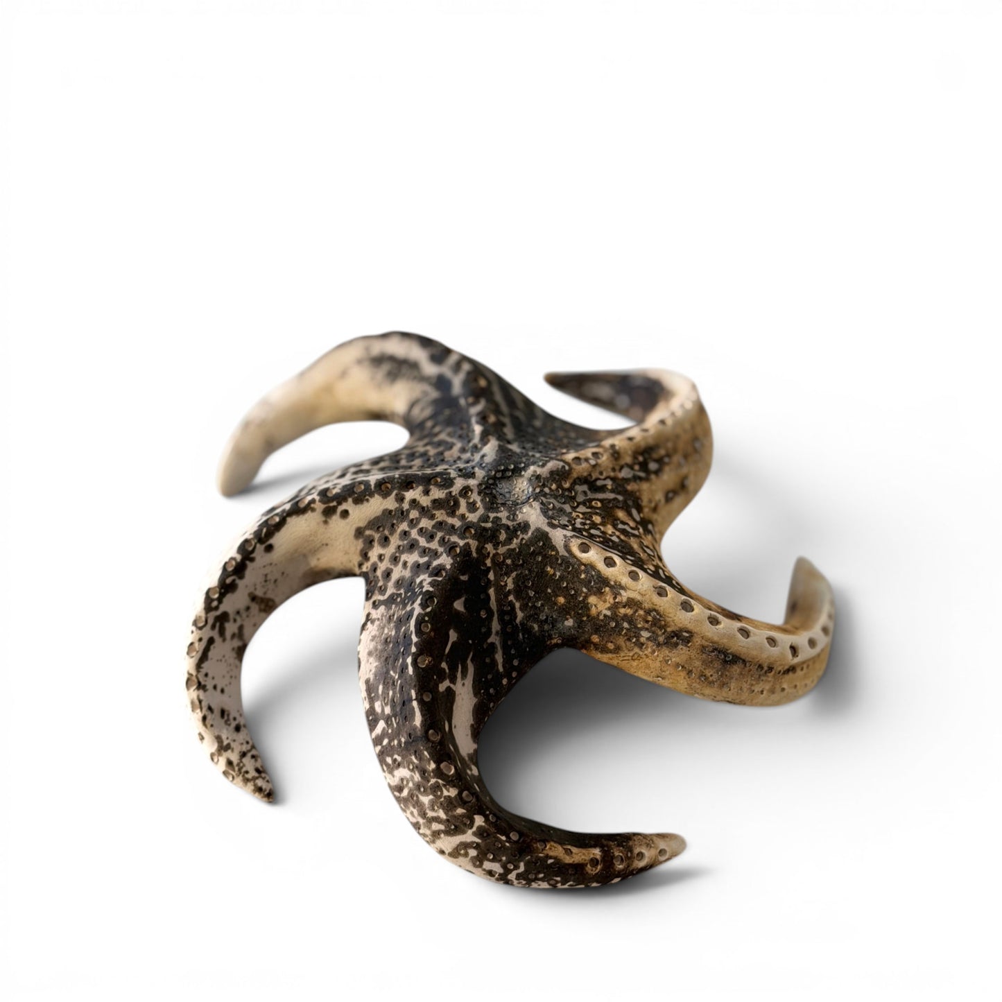 Étoile de mer