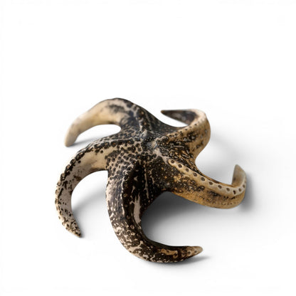 Étoile de mer