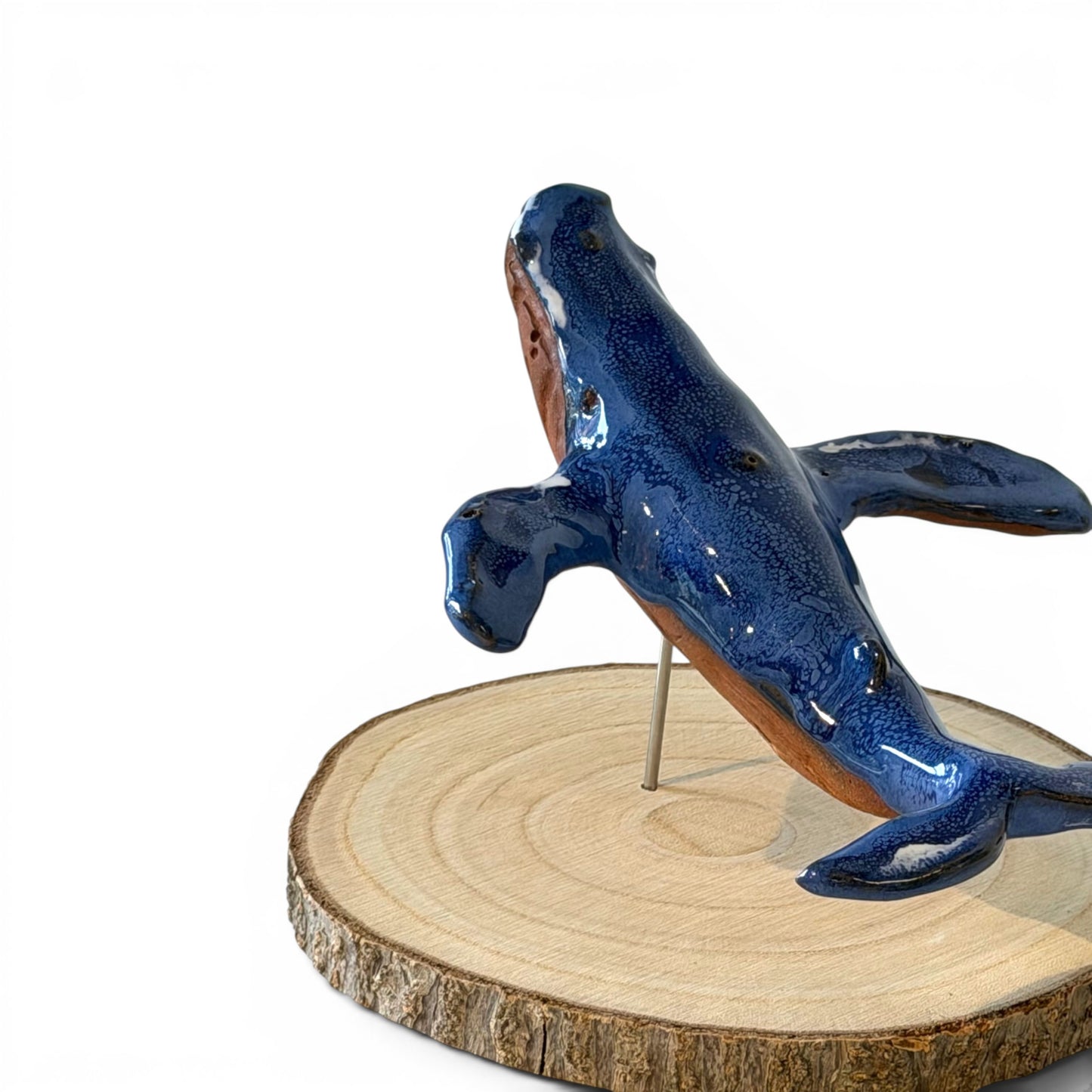 Baleine Bleue - St Laurent - Grande