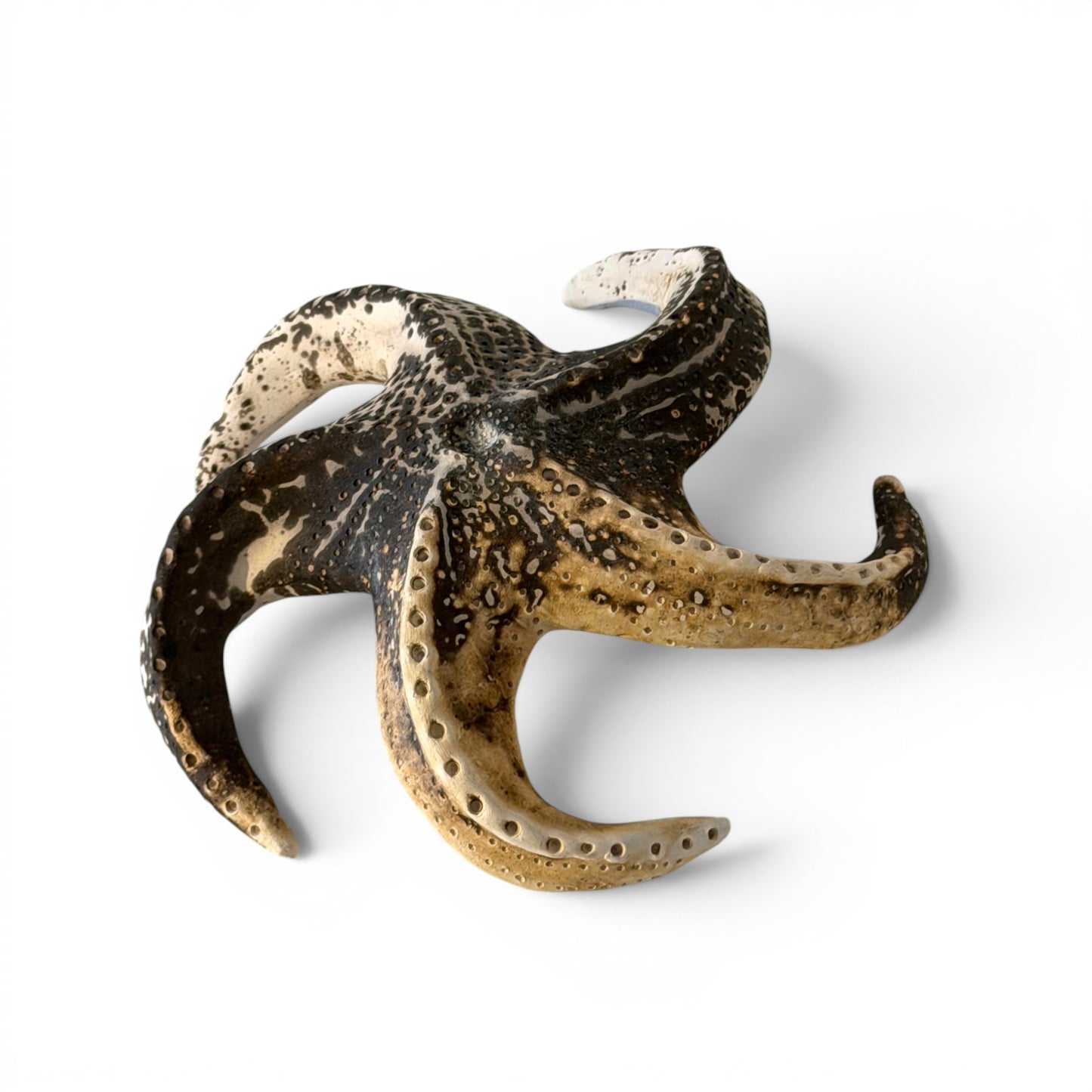 Étoile de mer