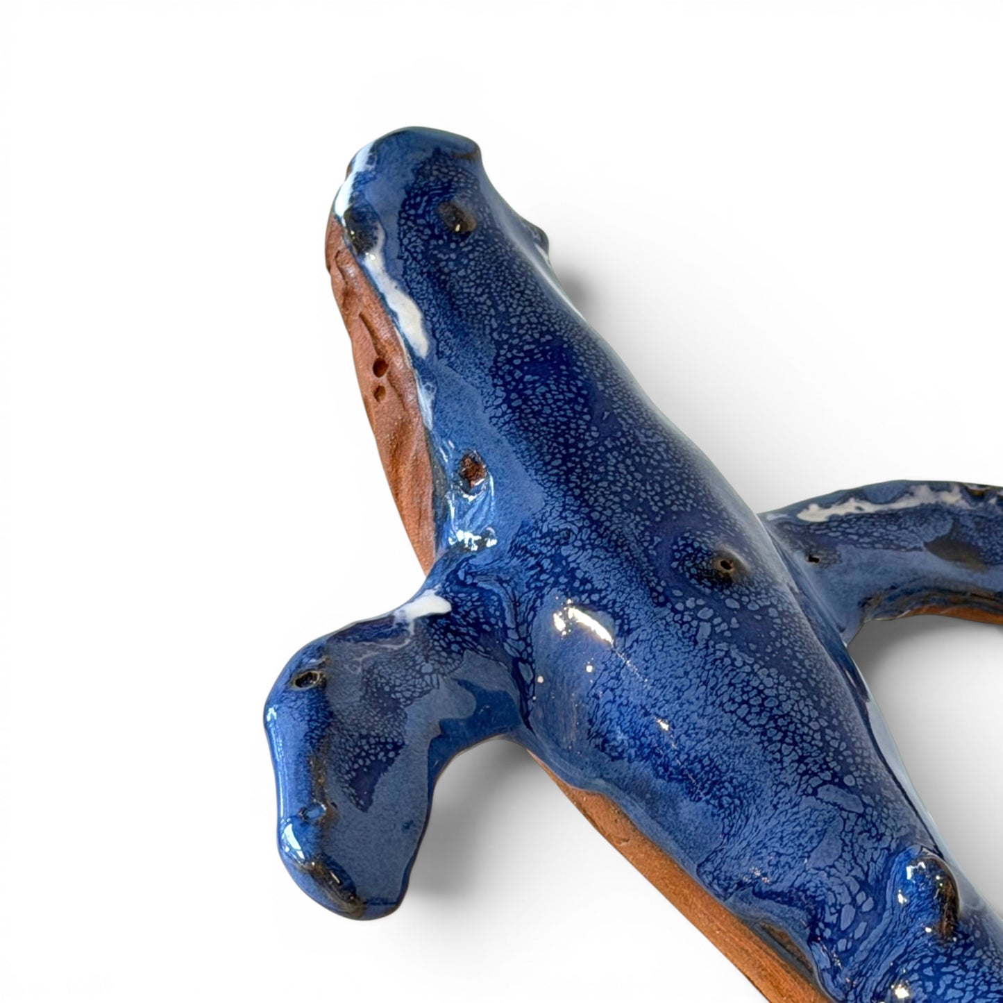 Baleine Bleue - St Laurent - Grande