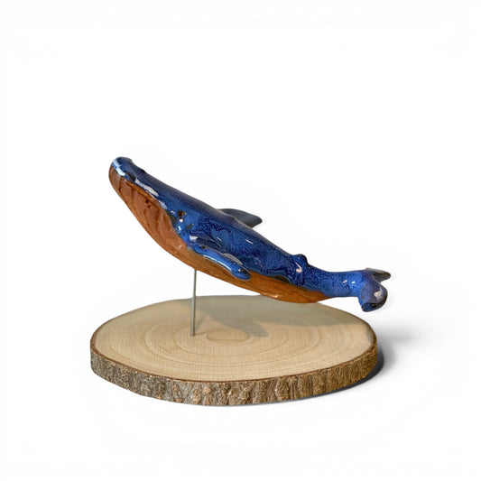 Baleine Bleue - St Laurent - Grande