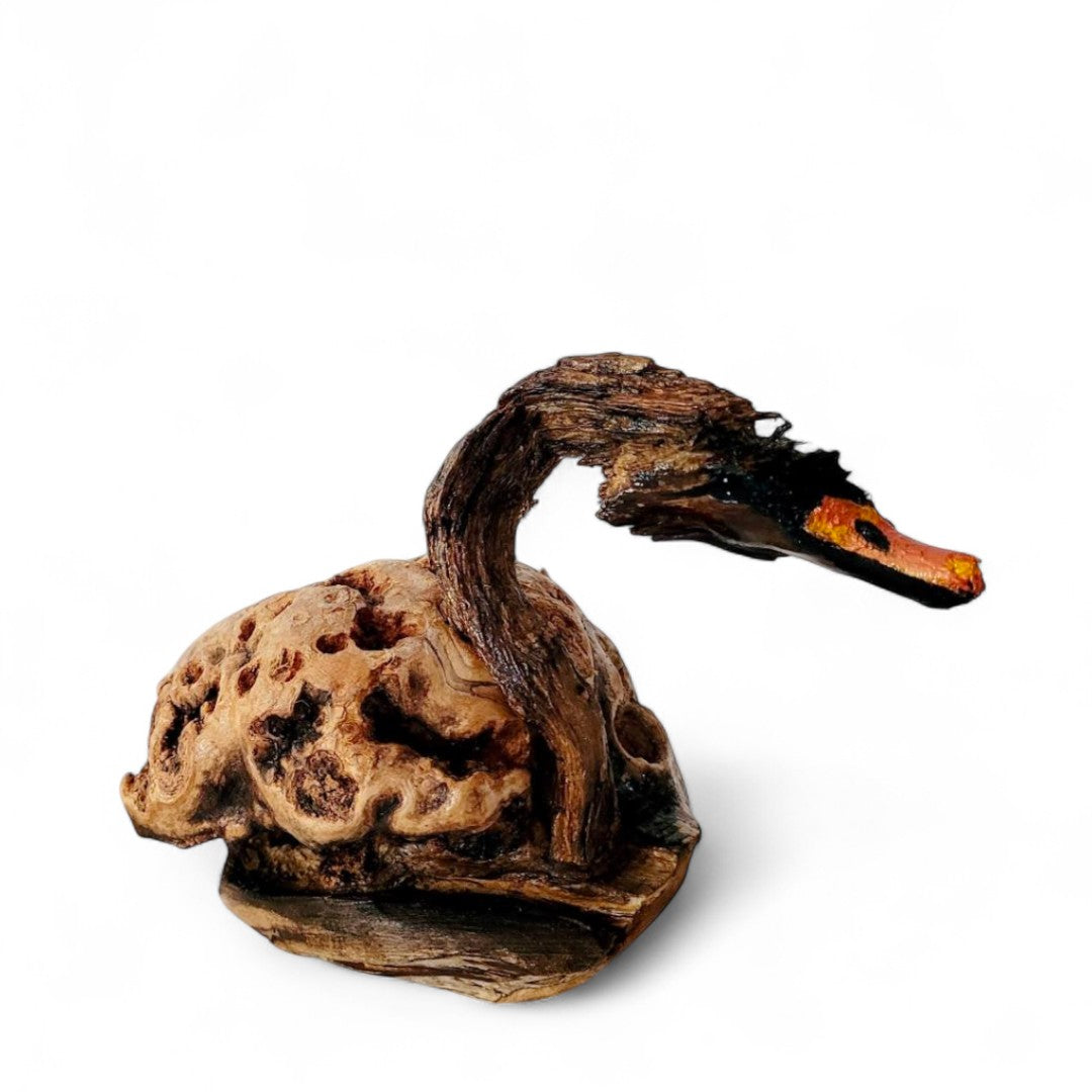 Le chant du cygne par Sandra Veillette