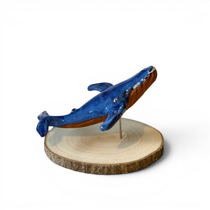 Baleine Bleue - St Laurent - Grande
