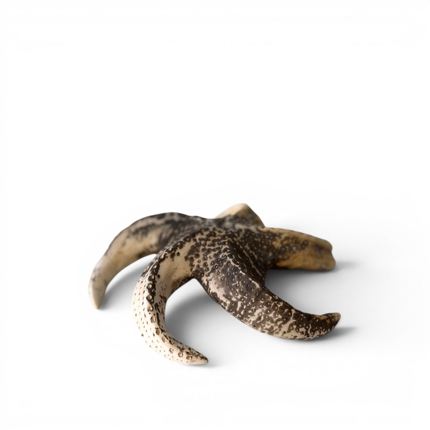 Étoile de mer