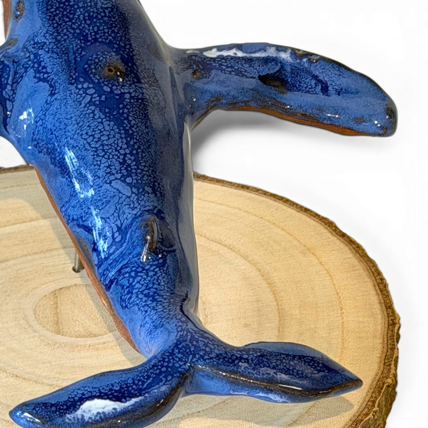 Baleine Bleue - St Laurent - Grande